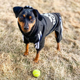 French Bulldog Dog Jumpsuit – Cute Outfit for Small and Medium Dogs