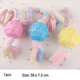 TPR Dog Chew Toy – Bite Resistant Training