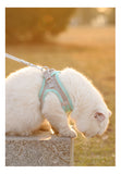 Reflective Pet Harness Vest – Adjustable Walking Set