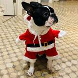 Cute Santa Claus Christmas Costume for Small Dogs