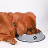 Stainless Steel Pet Bowl – Non-Slip Cat Dog Feeder