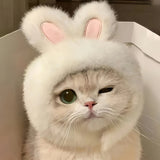 Bunny Ears Cat Hat – Knit Pet Costume for Cats and Small Dogs