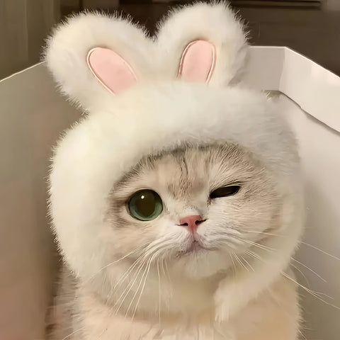 Bunny Ears Cat Hat – Knit Pet Costume for Cats and Small Dogs