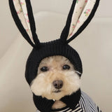 Cute Rabbit Ears Pet Knitted Hat