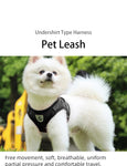 Adjustable Mesh Dog Harness with Leash