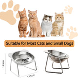 Stainless Steel Cat Bowl – Raised Whisker Fatigue Relief Dish