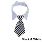 Adjustable Pet Bow Tie Collar for Pets
