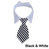 Adjustable Pet Bow Tie Collar for Pets