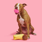 Interactive Plush Donut Dog Toy – Squeaky, Crinkle & Treat Dispenser for Fun Playtime with Dogs & Puppies