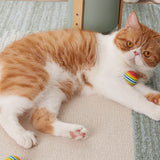 100PCS Cat Spring Toy Balls – Colorful EVA Chew and Scratch Set