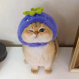 blueberry/apple Hat for small Pets