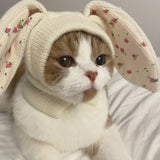 Cute Rabbit Ears Pet Knitted Hat