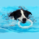 Super Bite Resistant Dog Ball – High Elastic Interactive Toy