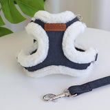 Winter Padded Dog Harness & Leash – Adjustable Vest for Dogs & Cats