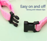 Rabbit Cat Harness – Small Animal Walking Set