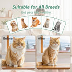 Electric Pet Hair Comb – Steam Grooming Brush