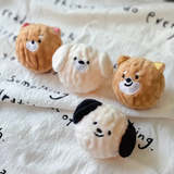 Squeaky Spiked Puppy Ball – Interactive Chew Toy for Small Dogs & Cats