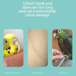 Natural Wooden Bird Perch Ladder Steps for Grinding Claws