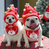 Christmas Dog Costume with Hat and Scarf