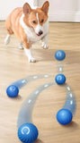 Smart Moving Dog Toy Ball – USB Rechargeable