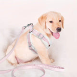 Winter Padded Dog Harness & Leash – Adjustable Vest for Dogs & Cats