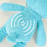 Bear Plush Dog Toy – Large Squeaky Chew for Dental Training