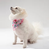 Adjustable Dog Bandana Collar – Stylish Scarf for Cats and Dogs