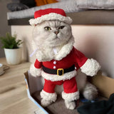 Cute Santa Claus Christmas Costume for Small Dogs
