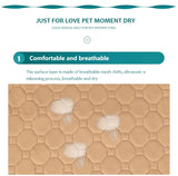 Reusable Washable Dog Pee Pad Training Mat