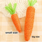 Cat toy - carrot teething and cat teasing sticks, bite-resistant and scratch-resistant for teething and clawing