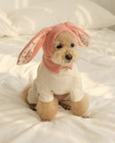 Knitted Dog Hat with Rabbit Ears – Warm Autumn/Winter Cap for Small Dogs & Puppies