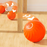 Smart Moving Dog Toy Ball – USB Rechargeable