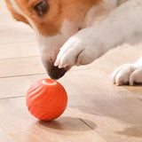Smart Moving Dog Toy Ball – USB Rechargeable