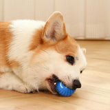 Smart Moving Dog Toy Ball – USB Rechargeable