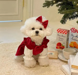 Christmas Bow Knot Dress Set for Dogs