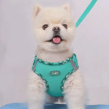 Adjustable No-Pull Dog Harness for Small Dogs
