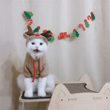 Christmas Rudolph Costume for Small Pets