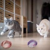 Interactive Cat Toy Balls – Stretchable Rolling Kitten Springs