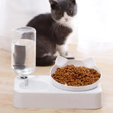 Tilted Pet Bowl – Protects Dog Cat Neck