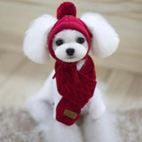 Winter Striped Dog Hat & Scarf Set – Knitted Christmas Pet Costume