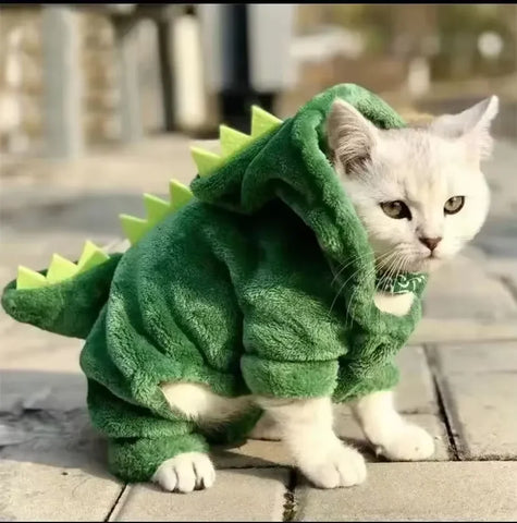 Funny Dinosaur Pet Costume for Dogs & Cats