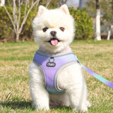 Step-In Dog Harness – Reflective & Soft