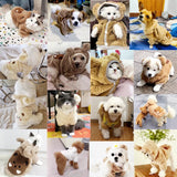 Cute Winter Dog Hoodie