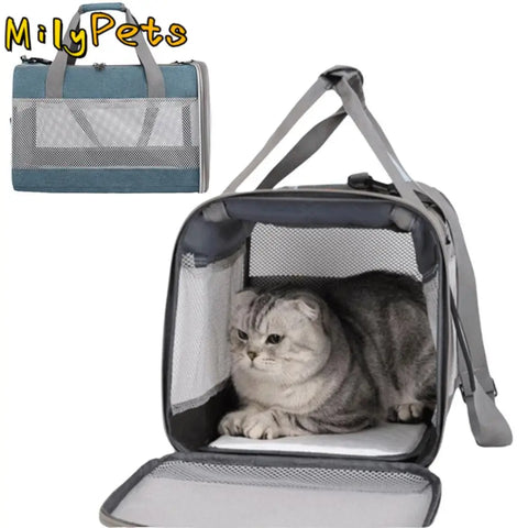 Large Foldable Breathable Cat Transport Bags