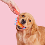 Plush Toy for Dogs (Sally Bitefoot Crab)