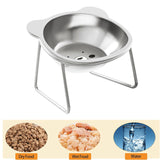 Stainless Steel Cat Bowl – Raised Whisker Fatigue Relief Dish