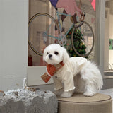 Fancy Winter Pet Dog Scarf with Lattice