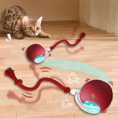 Smart Interactive Cat Ball – Durable Pet Toy