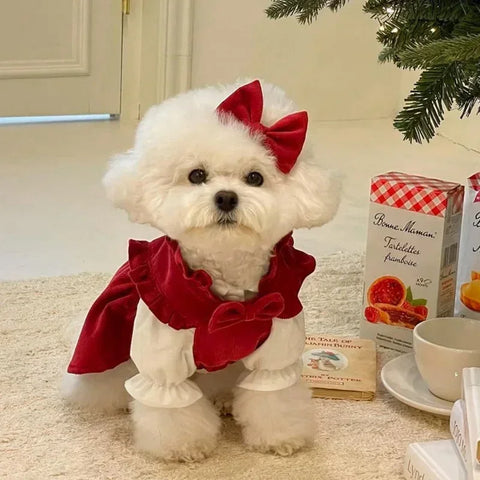Christmas Bow Knot Dress Set for Dogs