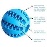 Interactive Chew & Treat Ball – Rubber & Silicone Pet Toy